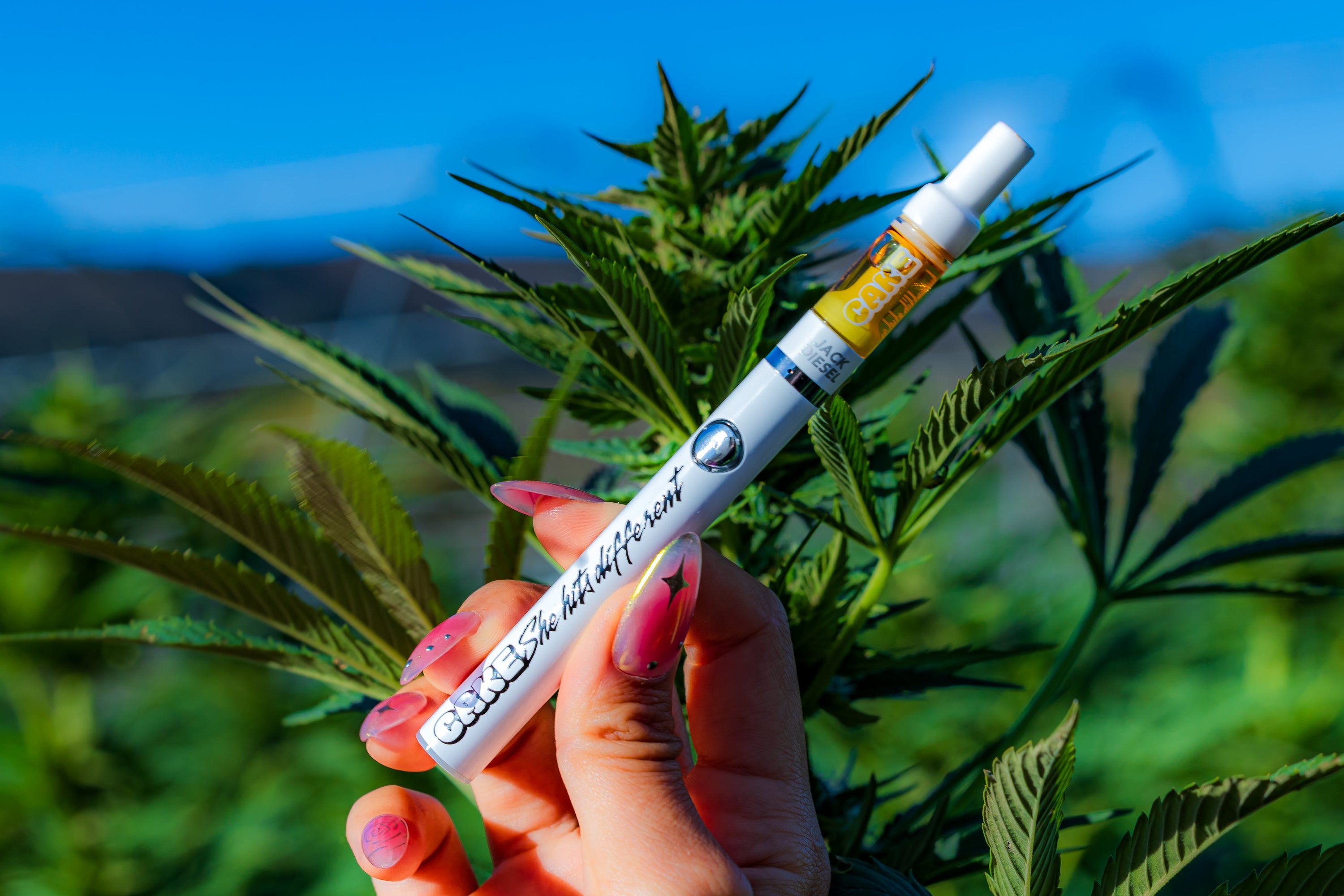 Disposable Weed Pen Diaries: Hits, Myths & Magic