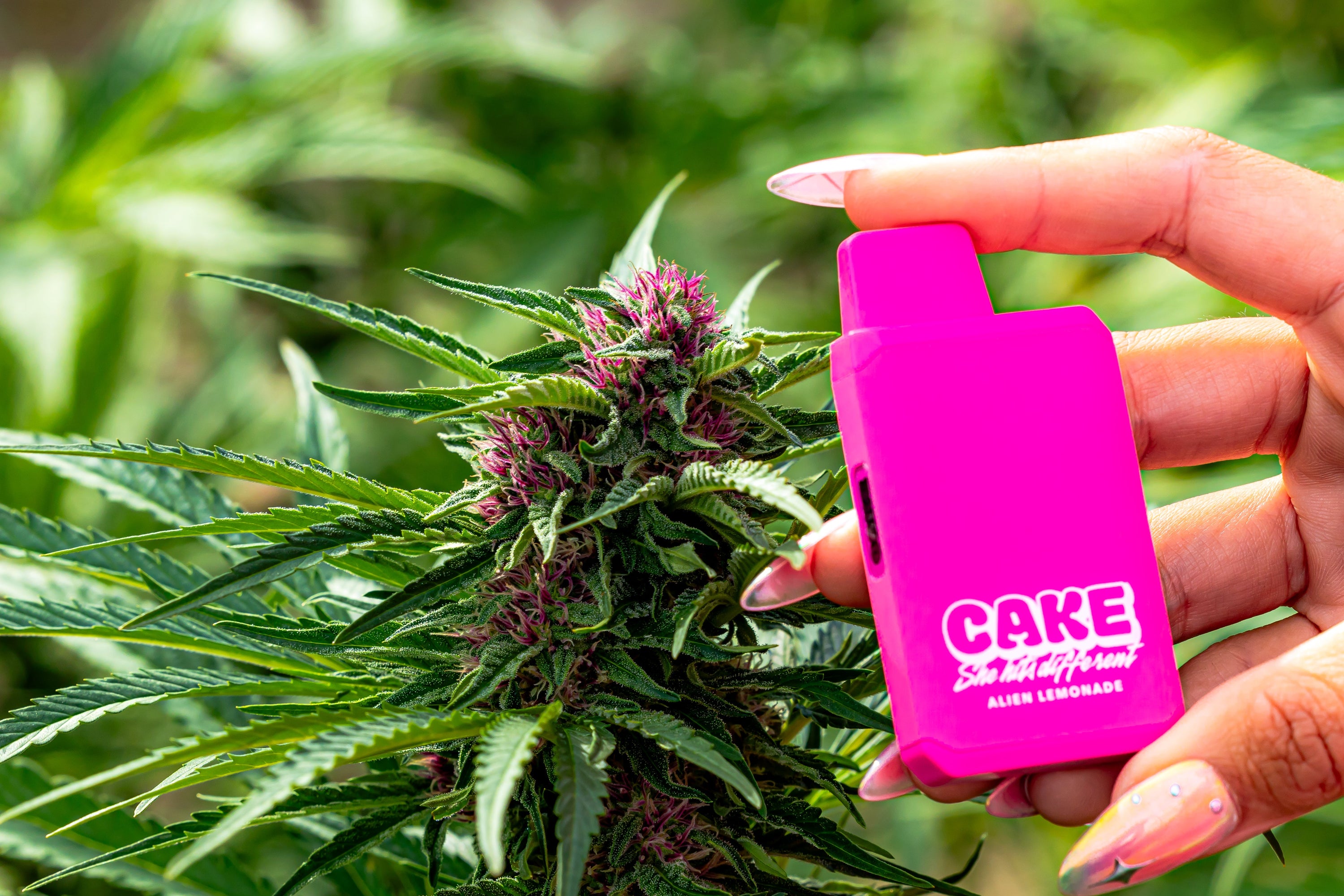 Wax Pen Hacks: Upgrade Your Dab Game Instantly